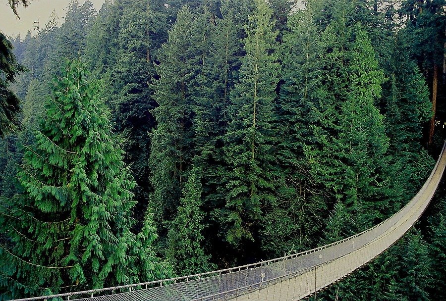Capilano Bridge, Canada